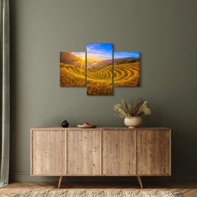 Kép - Rizs teraszok Vietnamban (90x60 cm)