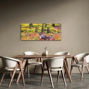 Kép - Caribou, Alaszka (120x50 cm)