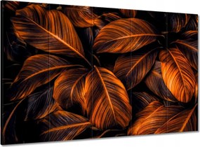 Vászonkép 100x70 Narancssárga levelek