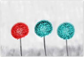 Poszterek 120x80 Piros pitypang