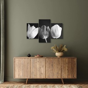 Kép - fekete-fehér tulipán virág (90x60 cm)