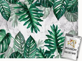 Fotótapéta Flizelina Trópusi Levelek Dzsungel Monster Beton 400x280 ragasztó