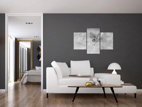 Kép - Bagoly, fekete-fehér (90x60 cm)