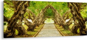Kép - Plumeria élő alagútja (120x50 cm)