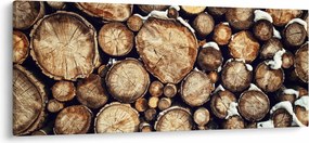 Kép - Fa a hóban (120x50 cm)