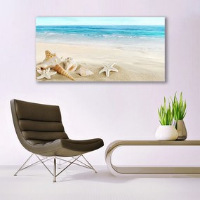 Vászonkép falra tengeri csillag kagyló 140x70 cm