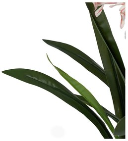 Művirág (magasság 100 cm) Hyacinth – Ixia