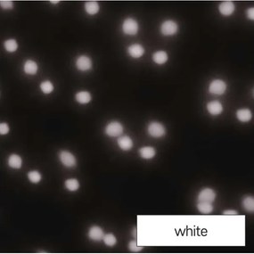 LED Karácsonyi kültéri projektor LED/4W/230V IP44 fehér