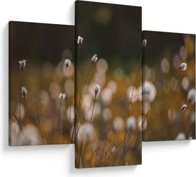 Kép - Gyapotfűvel borított rét N⁰2 (90x60 cm)