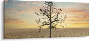 Kép - fa a sivatagban (120x50 cm)