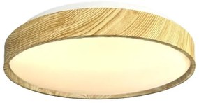 LED Dimmelhető mennyezeti lámpa OPAL LED/48W/230V 3000-6500K + távirányítás