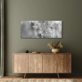 Kép - Boho pampafű (120x50 cm)