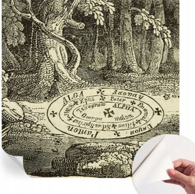 Öntapadós fotótapéta Nappali és Hálószoba Irodába Varázslatos kör 250x250