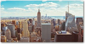 Fotó üvegkép New York madár repülés 140x70