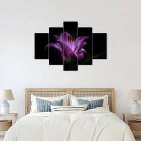 A liliom képe (150x105 cm)