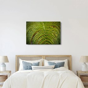 Kép - Fern (90x60 cm)
