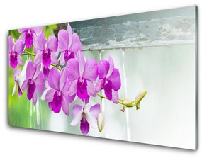 Üvegfotó Orchideák Nature Csepp 100x50 cm