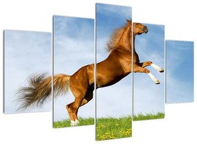 Kép - lovak, a hátsó (150x105cm)