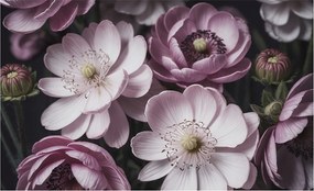 Fotótapéta Fali szett Virágos elegancia 416x254 Ragasztó