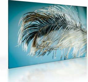 Tollas kép (üvegen) (70x50 cm)