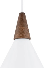 Argon KEGEL 8631 Függőlámpa 1x15W(Max)/E27 IP20