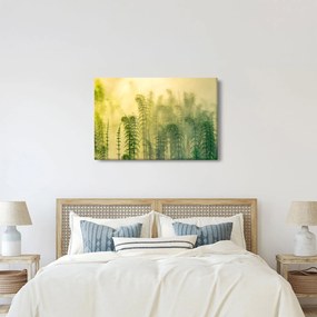 Kép - Részlet a tavaszi ködös természetből (90x60 cm)