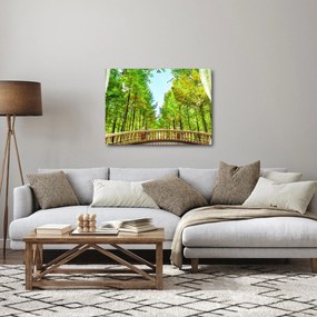 Kép - Kilátás az erdőre (70x50 cm)