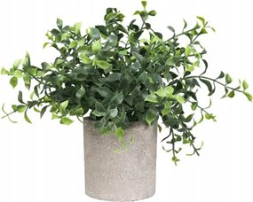 Mesterséges eukaliptusz gipsz kaspóban 20 cm – dekoráció