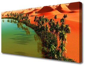 Vászonfotó Lake Palm Desert 100x50 cm