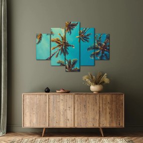Kép - Magas pálmafák (150x105 cm)