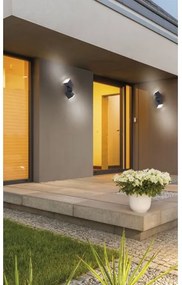 Paul Neuhaus 9722-13 - LED Kültéri fali lámpa RYAN 2xLED/5W/230V IP54