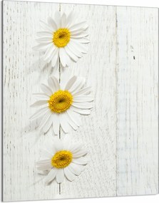 Üveg Vágódeszka 40x52 Fa Konyha