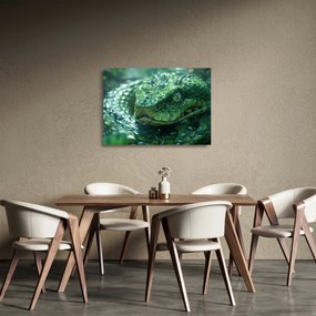 Üveg kép - Egy kígyó portréja (70x50 cm)