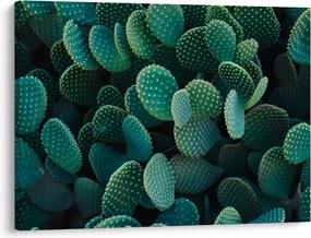Kép - Opuntia (70x50 cm)