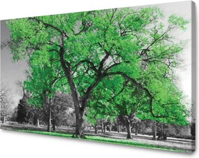 Vászonkép Fekete fák Zöld levelek Művészet 70x50 cm