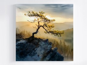 Canvas Vászonkép Lengyelország Hegyek Sokolica Fenyő 40 x 40