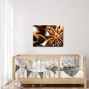 Kép - Anise (70x50 cm)