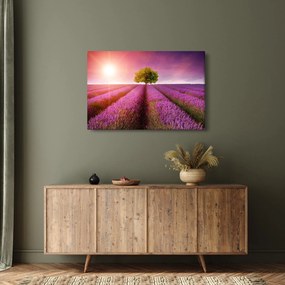 Levendula mező képe (90x60 cm)