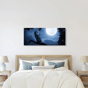 Kép - Éjszakai bagoly (120x50 cm)
