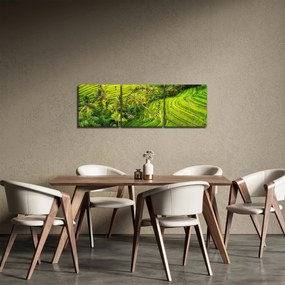 Kép - Rizs teraszok (órával) (90x30 cm)