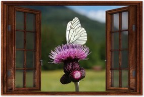 Poszterek 60x40 Fehér kåposzta