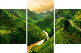 Kép - Mu Cang Chai rizsteraszok (90x60 cm)