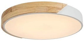 Rabalux 3527 - LED Mennyezeti lámpa MAPLE LED/24W/230V fehér