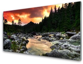 Üvegfotó Lake River Forest Nature 125x50 cm
