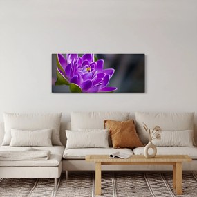 A virág képe (120x50 cm)