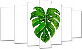 Vászonkép 140x80 Lyukas monsera levél