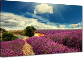 Festmények 120x80 Levendula tájkép