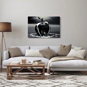 Egy fekete alma képe (90x60 cm)