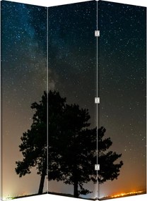 Paraván - Éjszakai égbolt fákkal (126x170 cm)