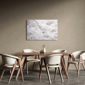 Kép - Fehér tollak (90x60 cm)